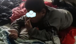 吃粪便的视频,一场关于消化奥秘的视觉之旅